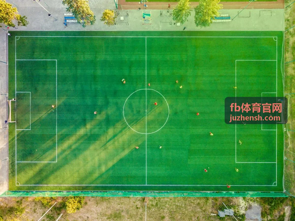 FB体育赛事数据深度分析图表